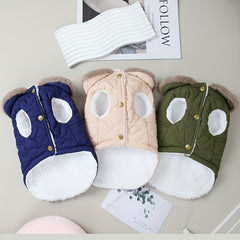Plush Collar Dog Warm Coat for Autumn and Winter