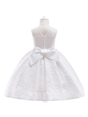 Embroidered Flower Girl Princess Dress for Party, Wedding, Performance