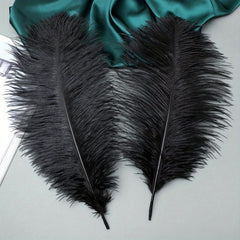 Ostrich Feather Hair Accessories for Party