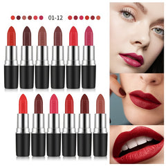 VIBELY Matte Lipstick Long Lasting Non Fading Formula