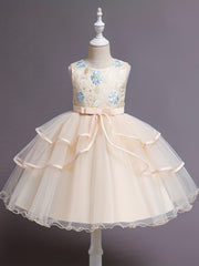 Princess Dress For Christmas Birthday & Evening Parties Sleeveless Flower Embroi