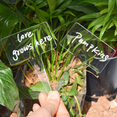 Acrylic Plant Markers Transparent Plant Cards Multifunctional Plant Labels