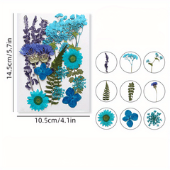 DIY Pressed Flowers Kit - Create Unique Crafts with 19pcs Dried Flowers
