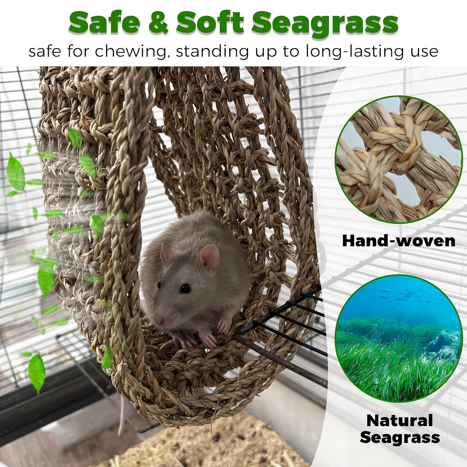 img_5360260