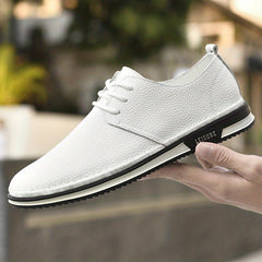 Men's Smart Casual Walking Shoes, Lace Up, Assorted Colors