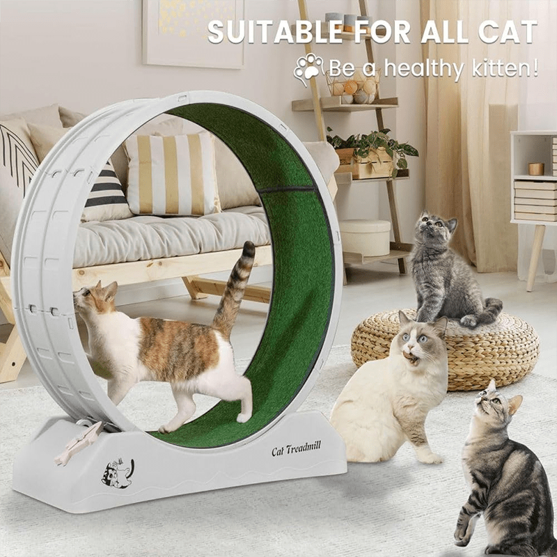 img_4081899