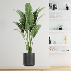 Tropical Green Plant Wall Decals - Removable Bonsai Decals