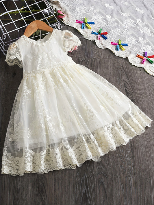 Toddler Girls Puff Sleeve Princess Dress Kids Summer Clothes