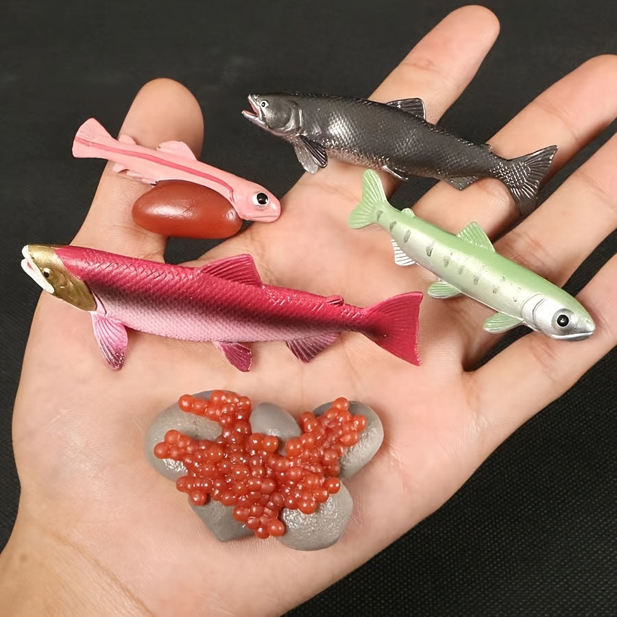 Marine Animals Growth Cycle Models Set