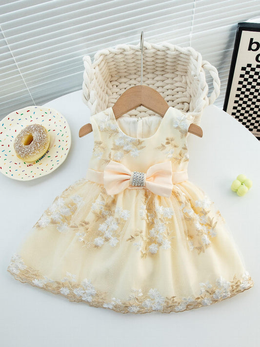 Mesh Princess Dress Embroidered Summer Puffy Cami Dress