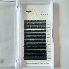DIY Eyelash Extensions 0.05mm C D Curl 8-16mm