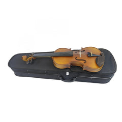 Adult Beginner Violin Set - Solid Wood Construction