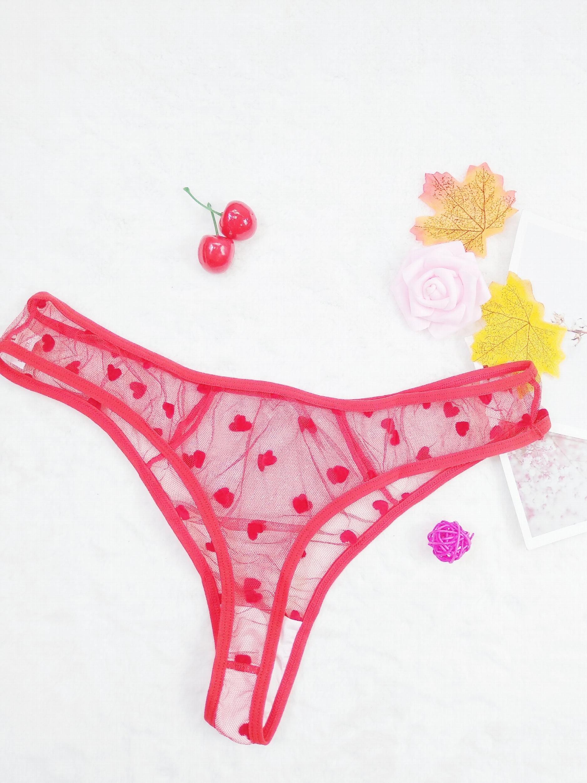  Sexy Brief Women's Plus Flocked Heart Detail Panty