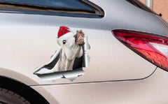 img_119852