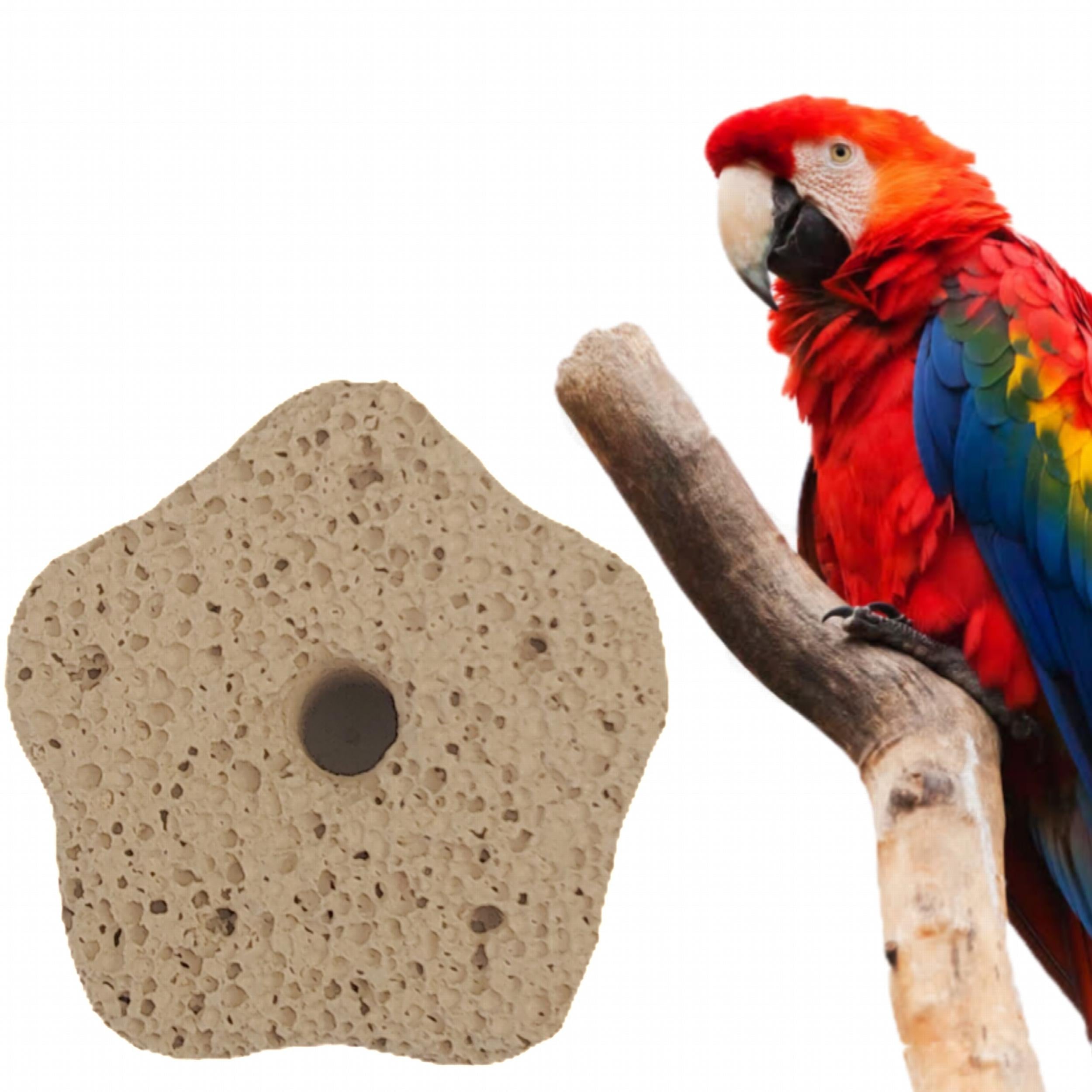 Pet Molar Stone Chew Toy for Parrots Hamsters Birds