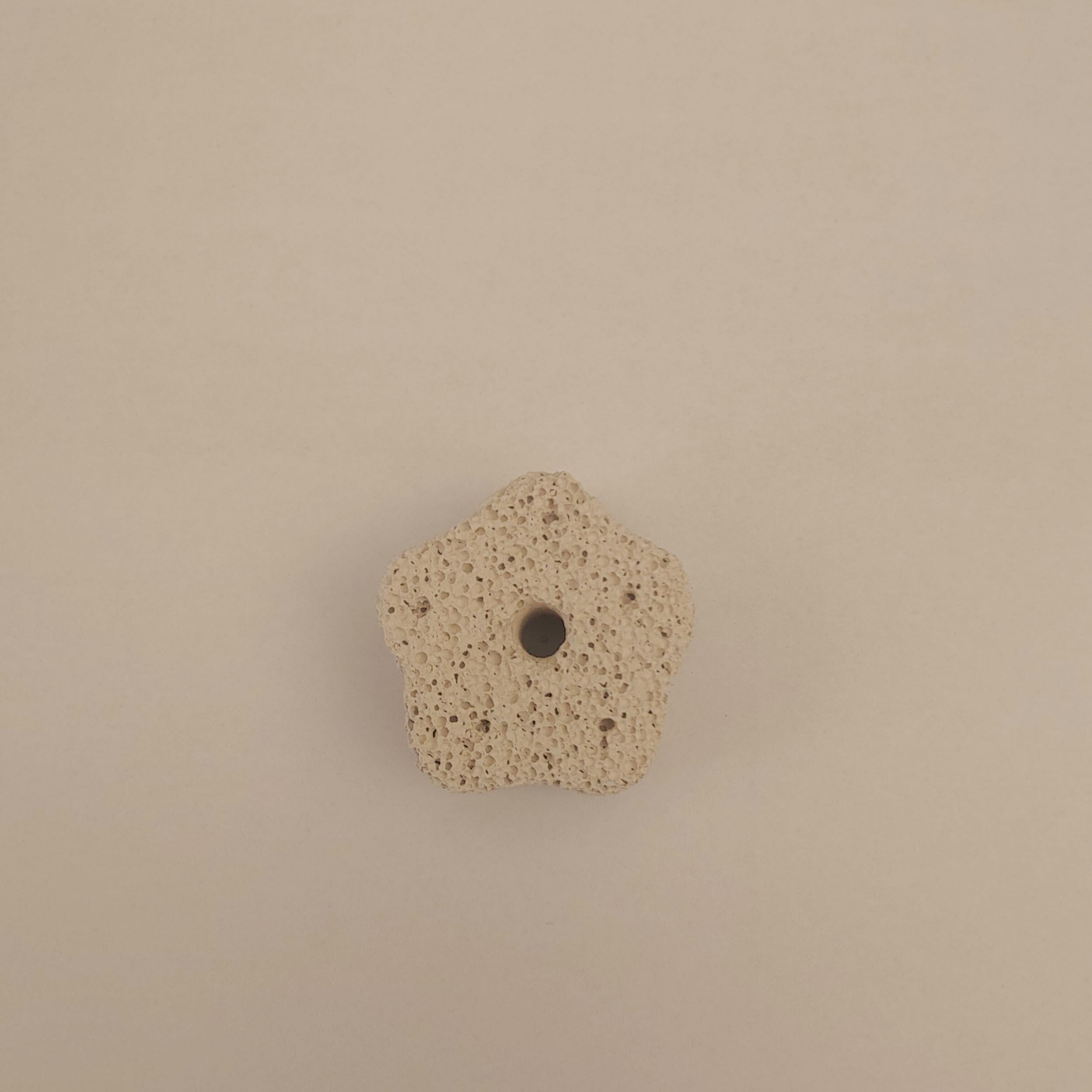 Pet Molar Stone Chew Toy for Parrots Hamsters Birds