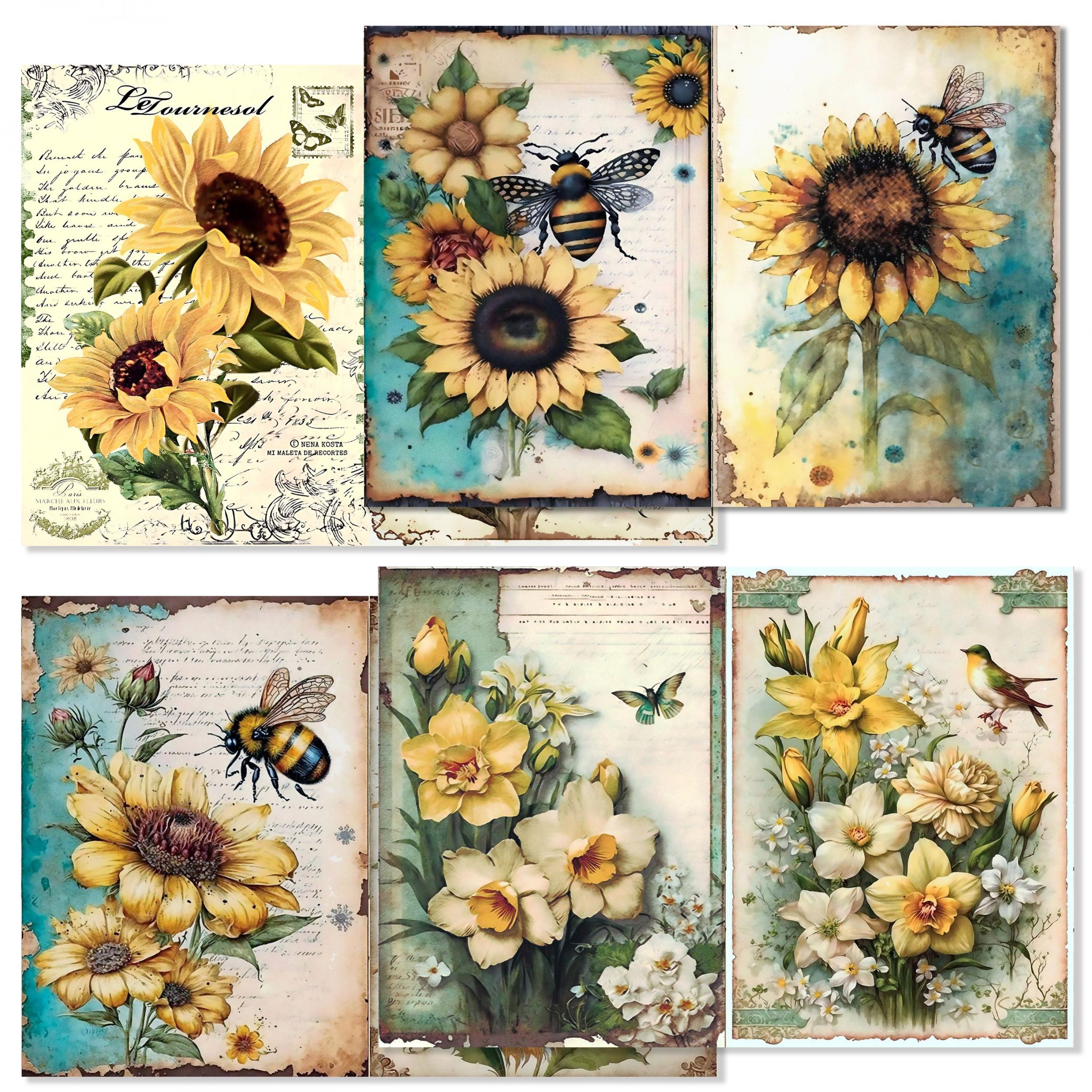 Bee Theme Scrapbook Paper 16 Sheets A5 20lb 98 Brightness - Clearance Sale