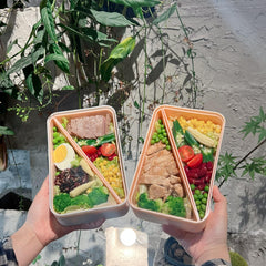 Leakproof Japanese Bento Box Double Decker Lunch Box Portable for School Adults