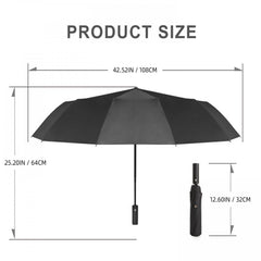 Windproof 10 Ribs Umbrella Auto Folding Compact Umbrella