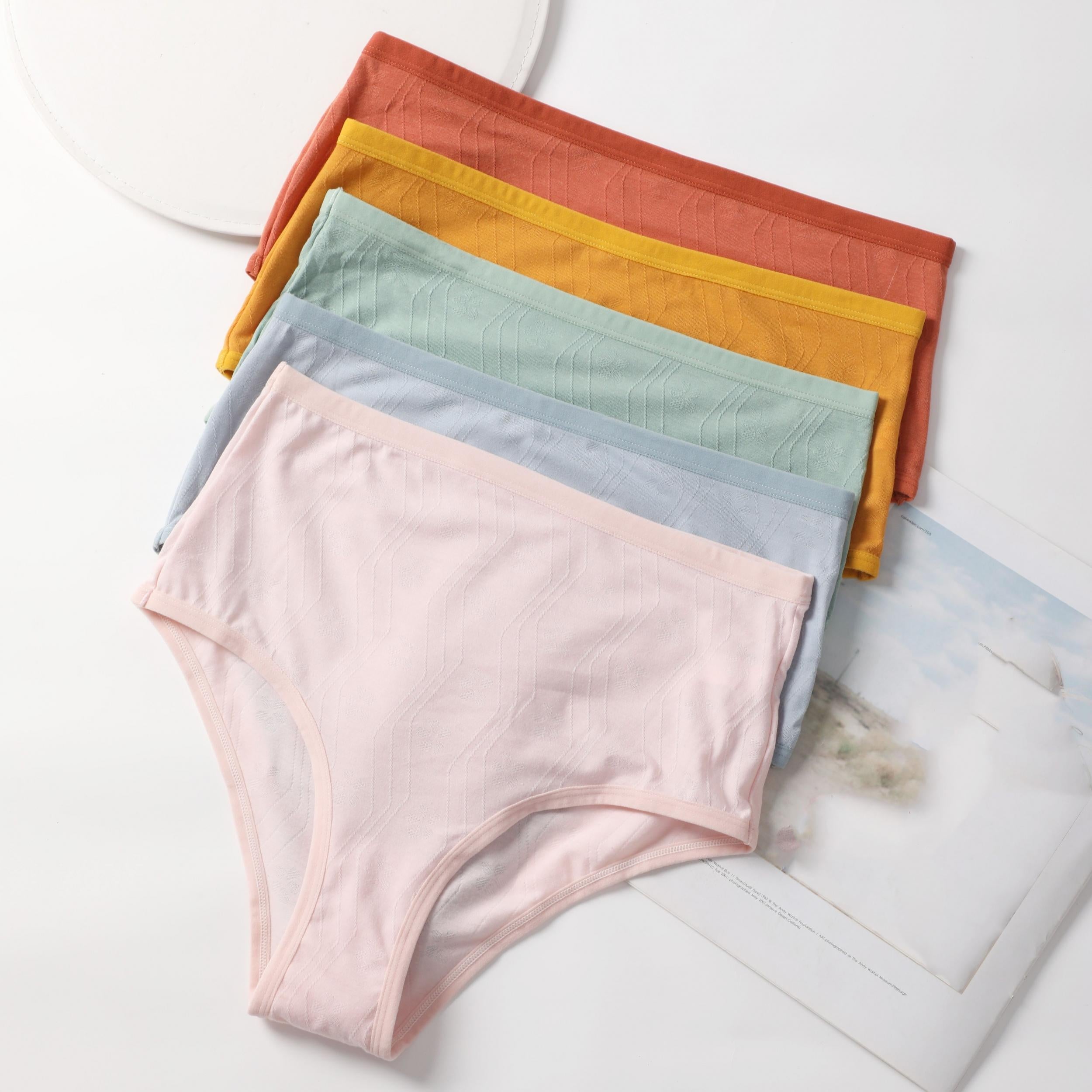 5 Pack Plus Size Seamless Solid Textured Soft Briefs Set