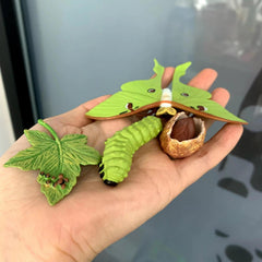 Insect Growth Cycle Figurines Educational Toy Set