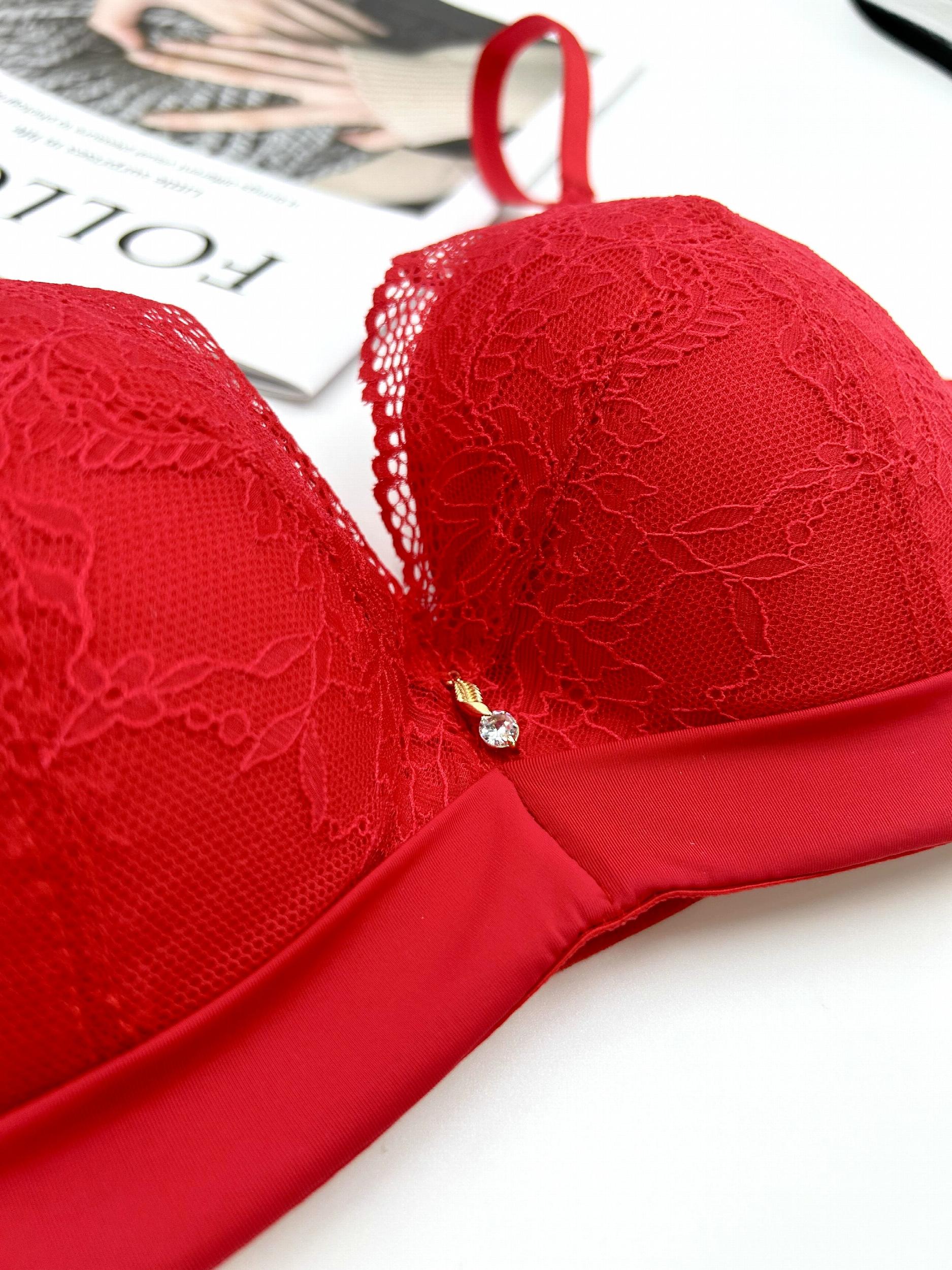 Lace Push Up Bra Comfy Intimates Women's Lingerie