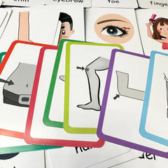 Montessori Body Part Flash Cards for Kids - Educational Toy