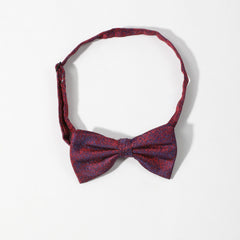 Men's Thin Striped Bow Tie
