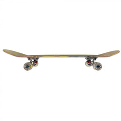 Complete Skateboard Market Astronaut Professional Adult Youth