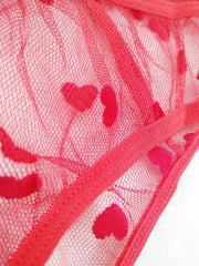  Sexy Brief Women's Plus Flocked Heart Detail Panty