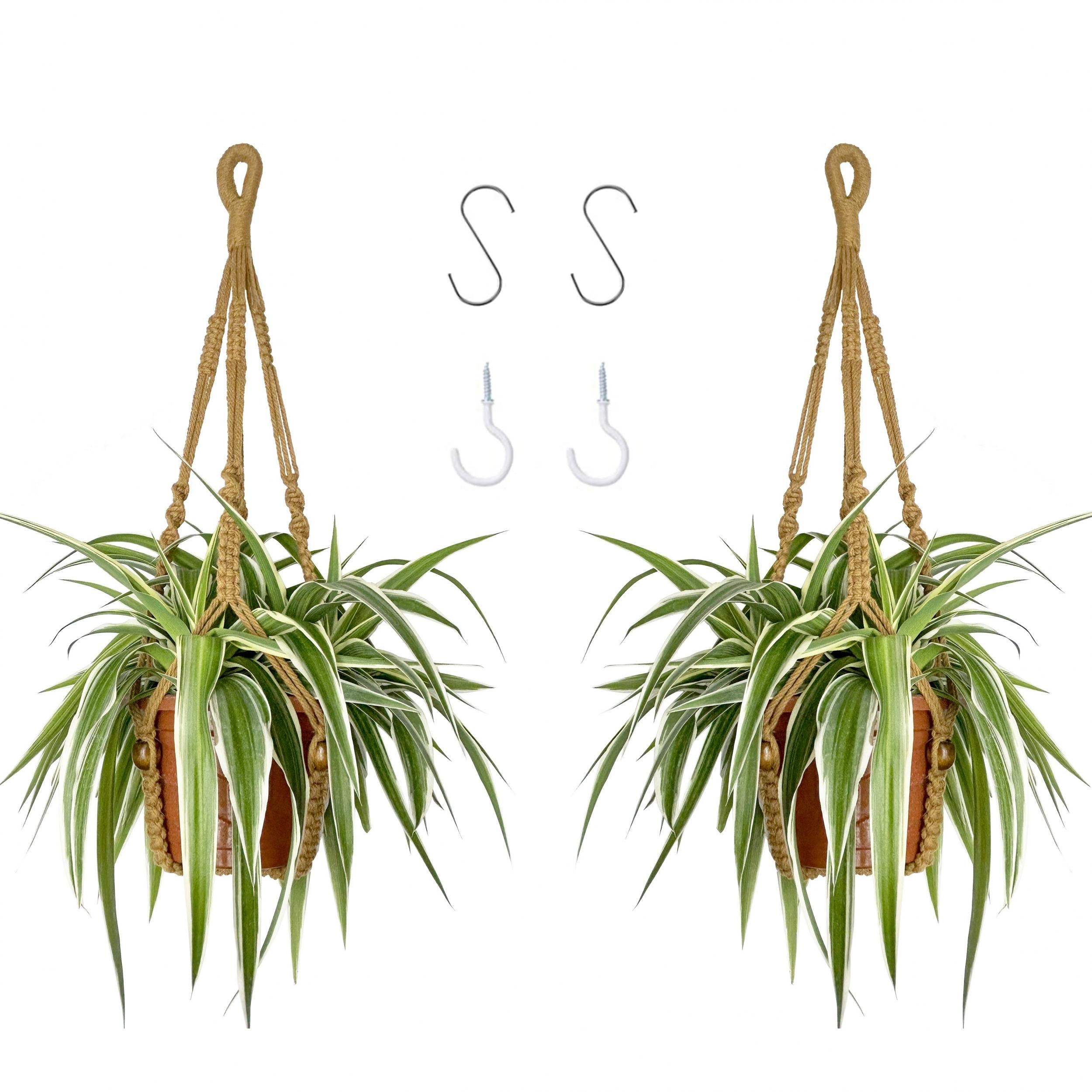 2pcs Macrame Plant Hanger Rope Indoor Brown Holder for 4-15cm Plant Pots