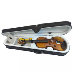 Adult Beginner Violin Set - Solid Wood Construction