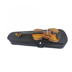 Adult Beginner Violin Set - Solid Wood Construction
