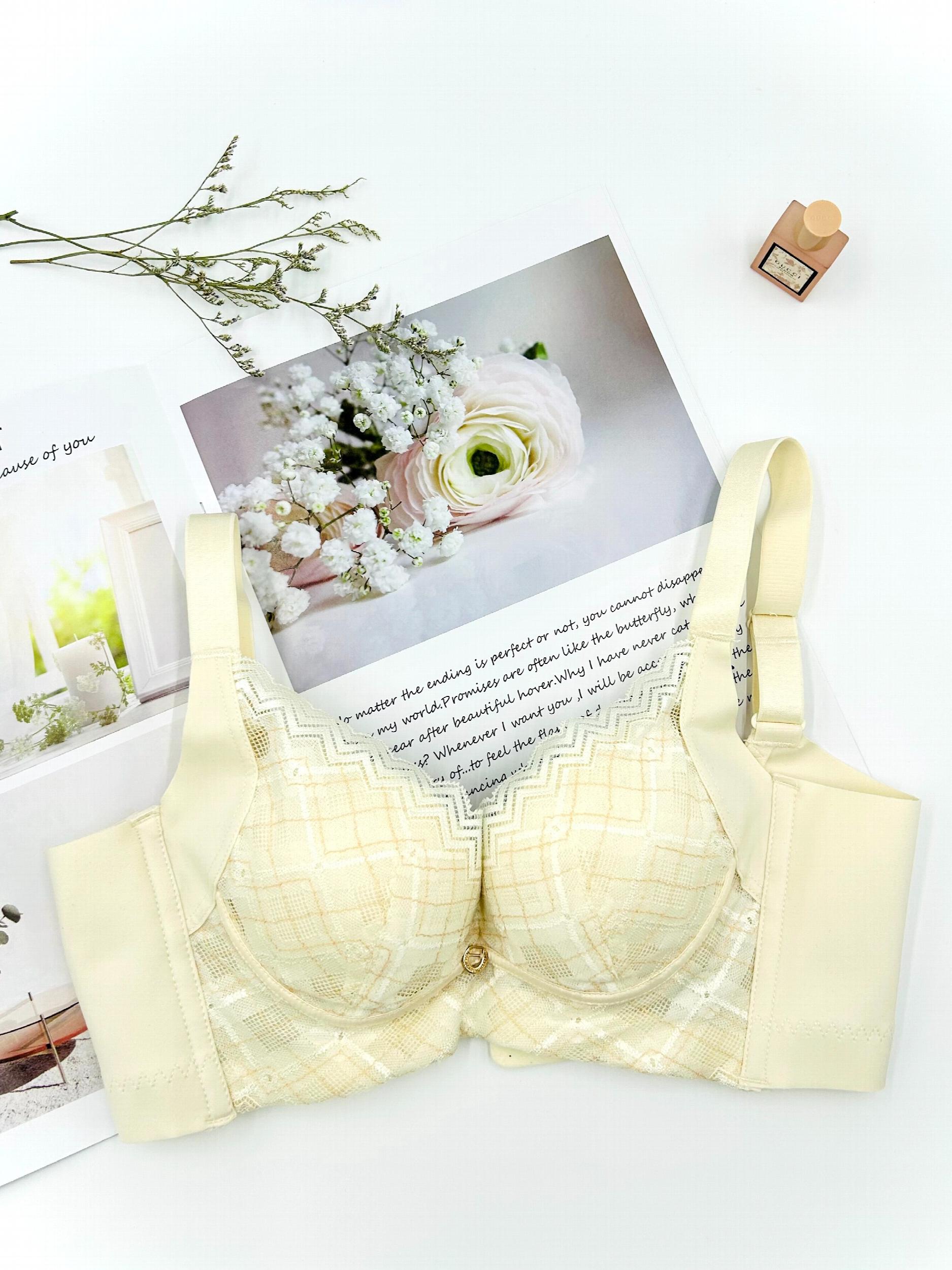 Lace Push Up Bra with Scallop Trim