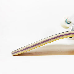 Complete Skateboard Market Astronaut Professional Adult Youth