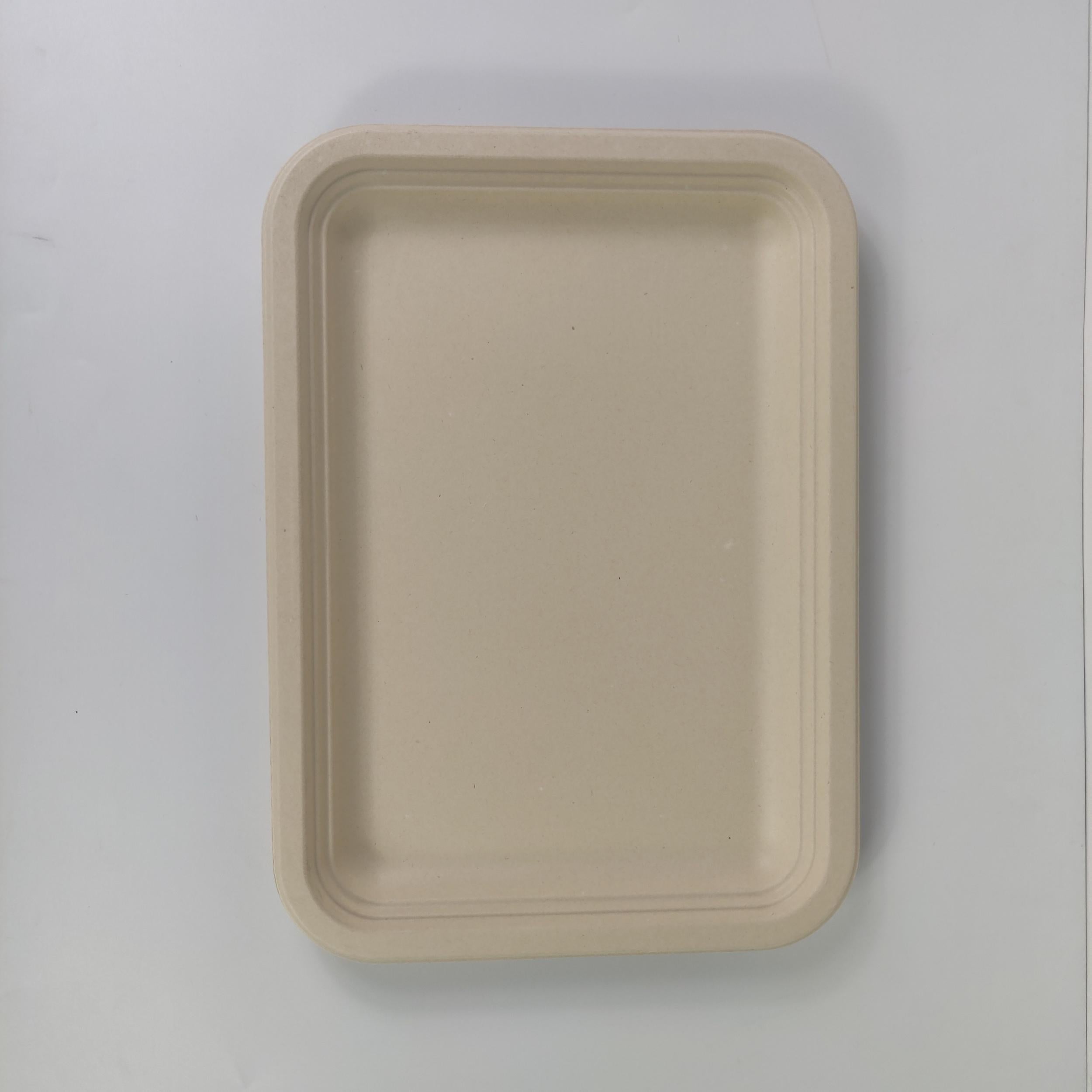 50pcs 35 Biodegradable Paper Plates Heavy Duty Sugarcane Platter for BBQ Picnic