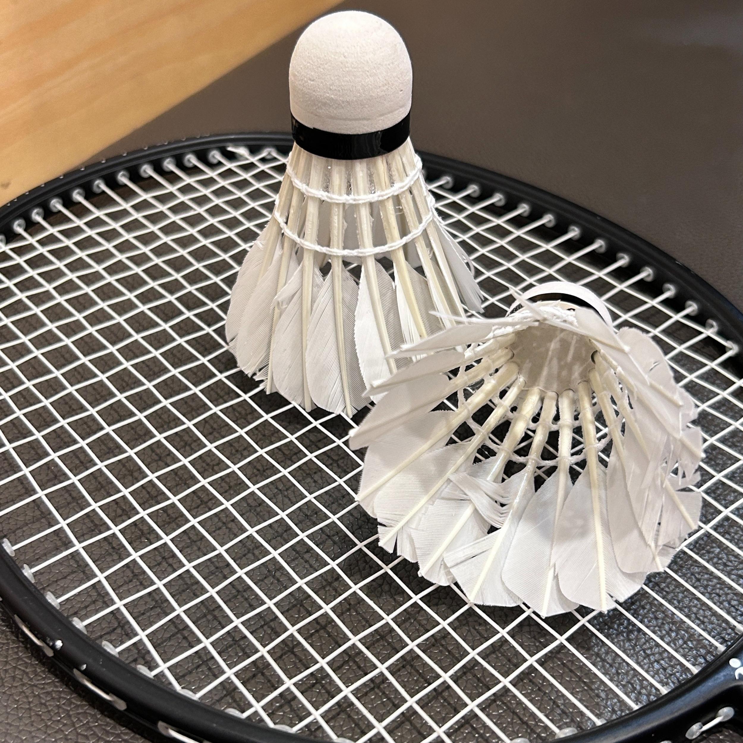 Carbon Badminton Racket Set with Bag