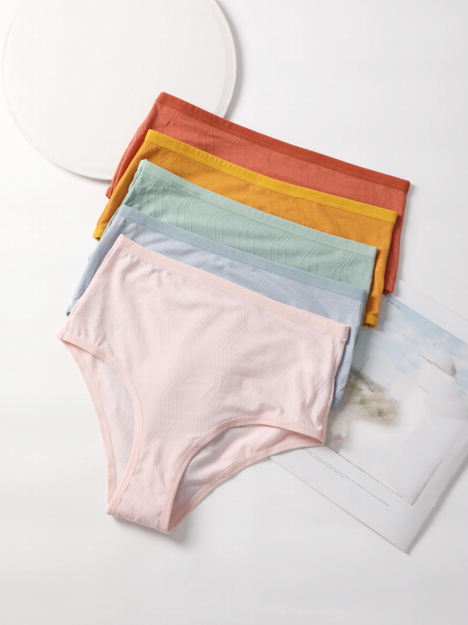 5 Pack Plus Size Seamless Solid Textured Soft Briefs Set