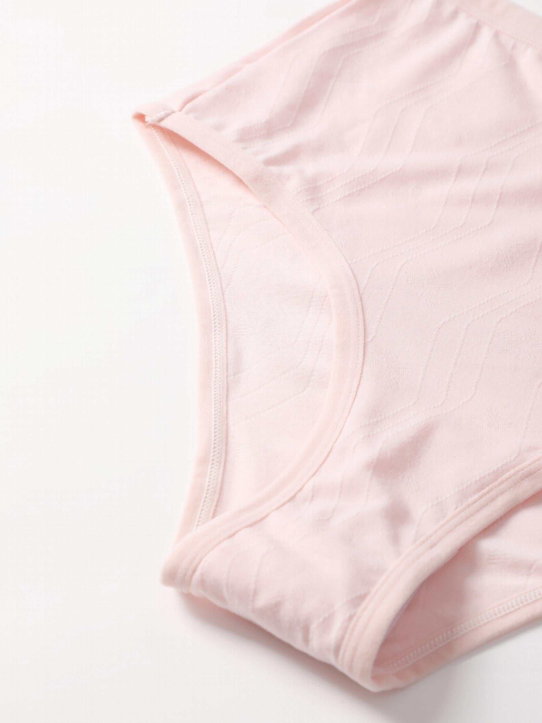 5 Pack Plus Size Seamless Solid Textured Soft Briefs Set