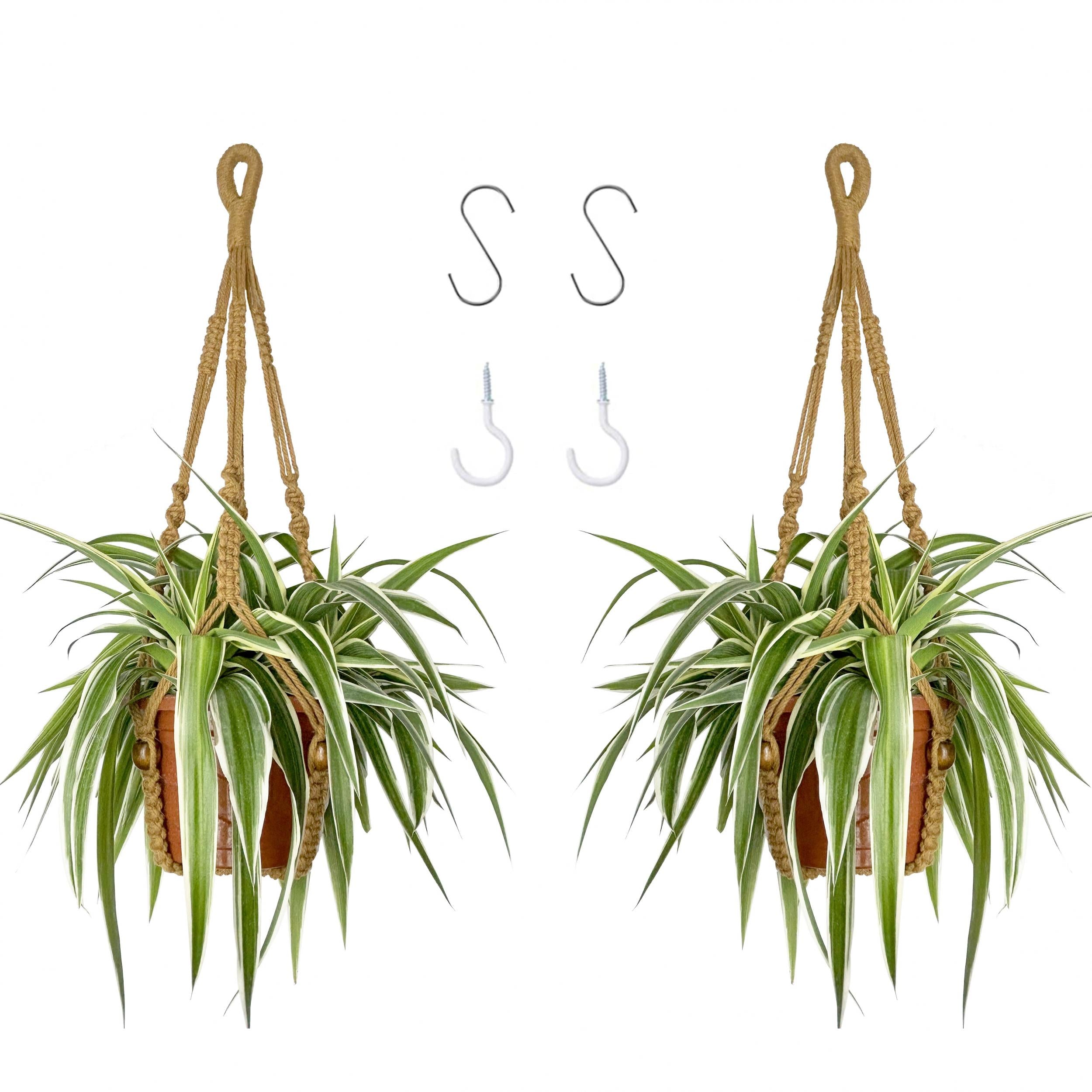 2pcs Macrame Plant Hanger Rope Indoor Brown Holder for 4-15cm Plant Pots