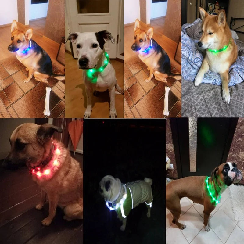 img_5023285
