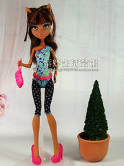 img_2985781
